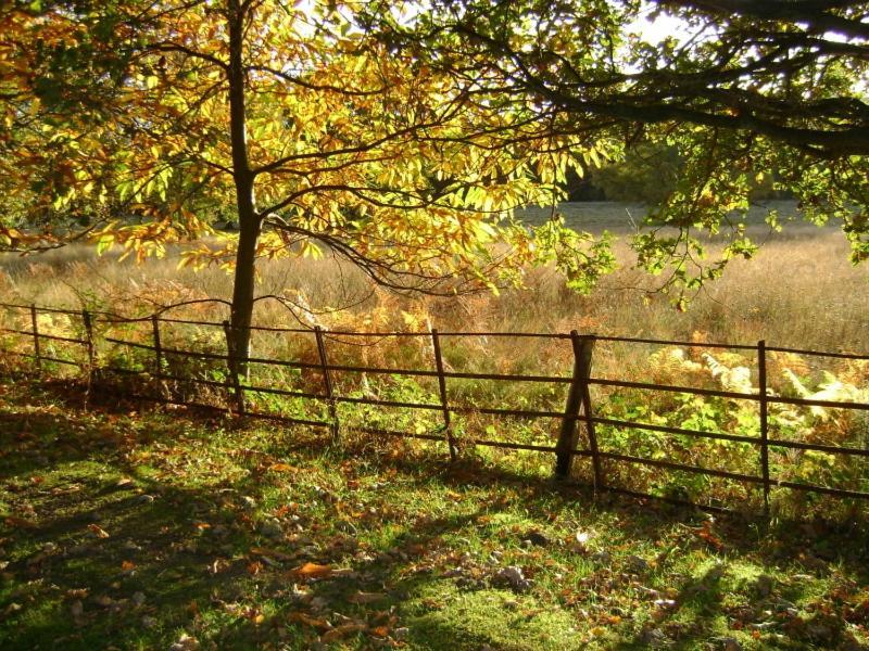 Tekels Park Guest House Camberley Buitenkant foto